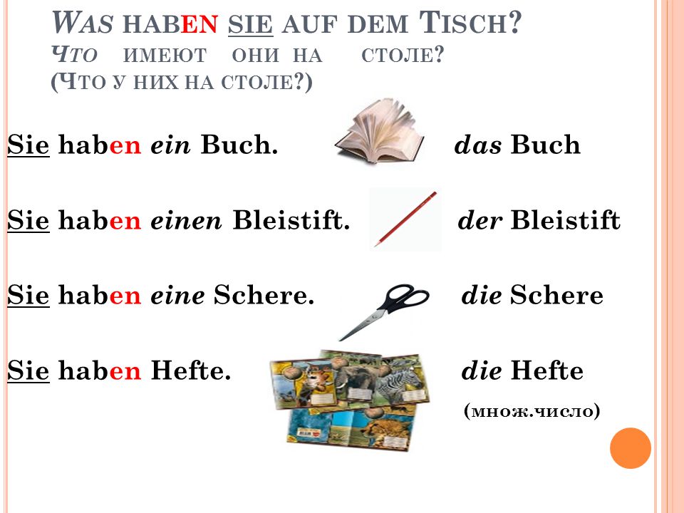 Haben asiaten einen kleinen